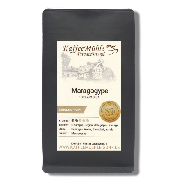 Maragogype